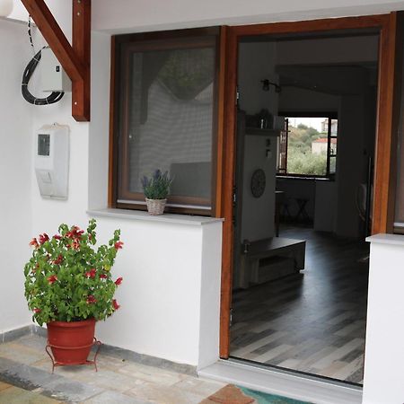 Villa Sofia Marathos  Kültér fotó