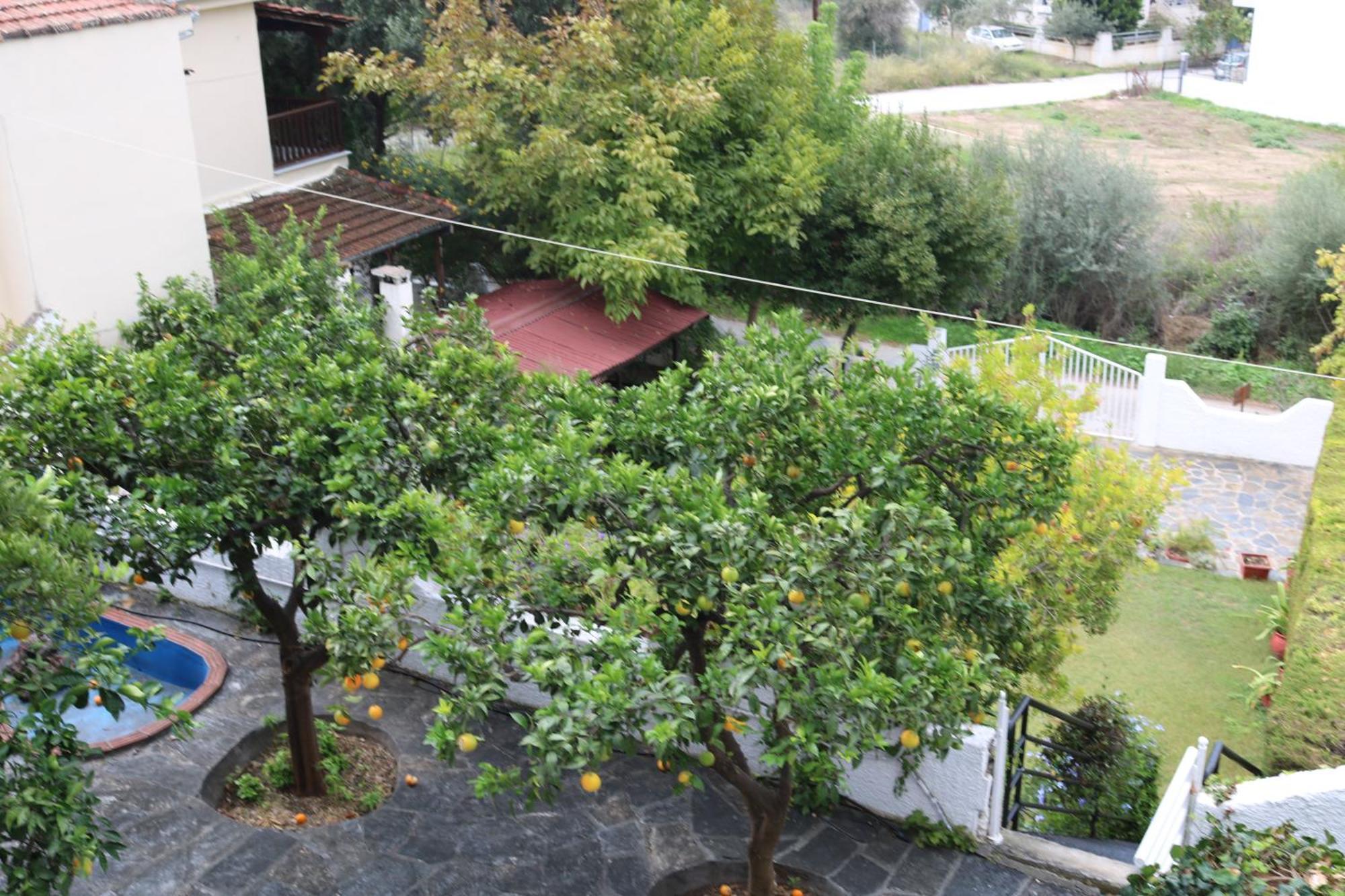 Villa Sofia Marathos  Kültér fotó