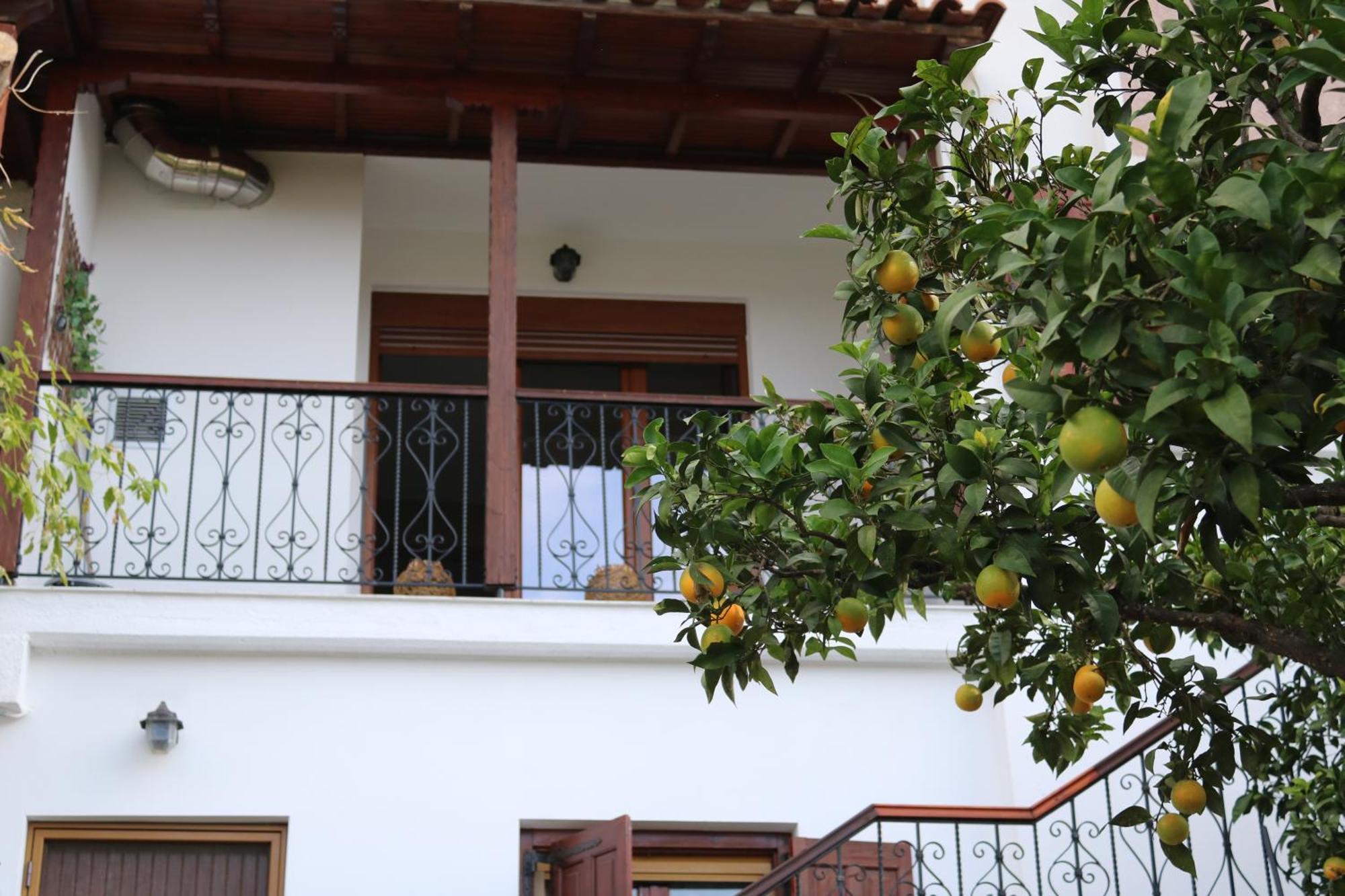 Villa Sofia Marathos  Szoba fotó