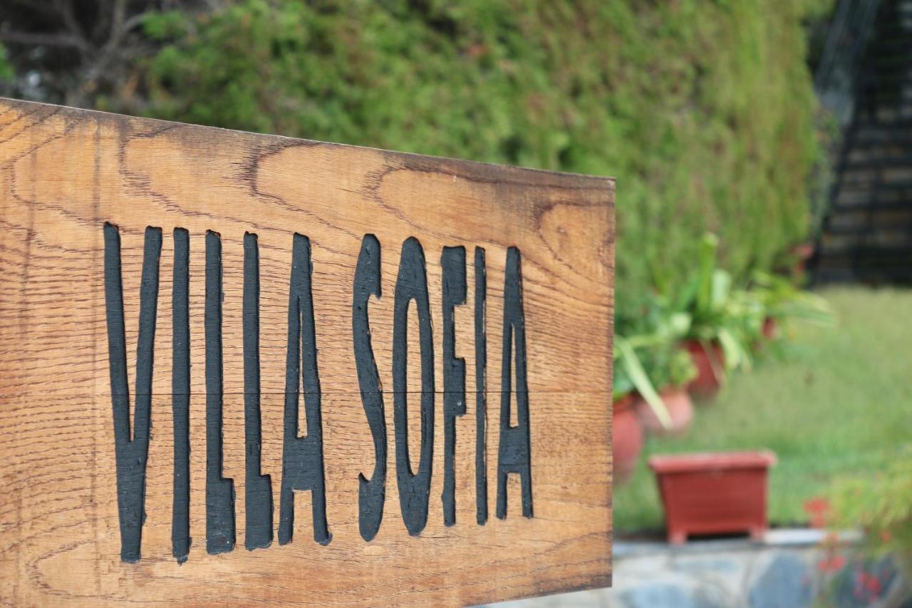 Villa Sofia Marathos  Kültér fotó