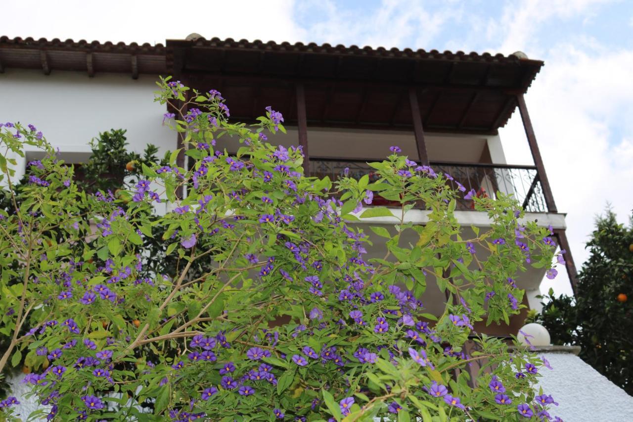 Villa Sofia Marathos  Kültér fotó